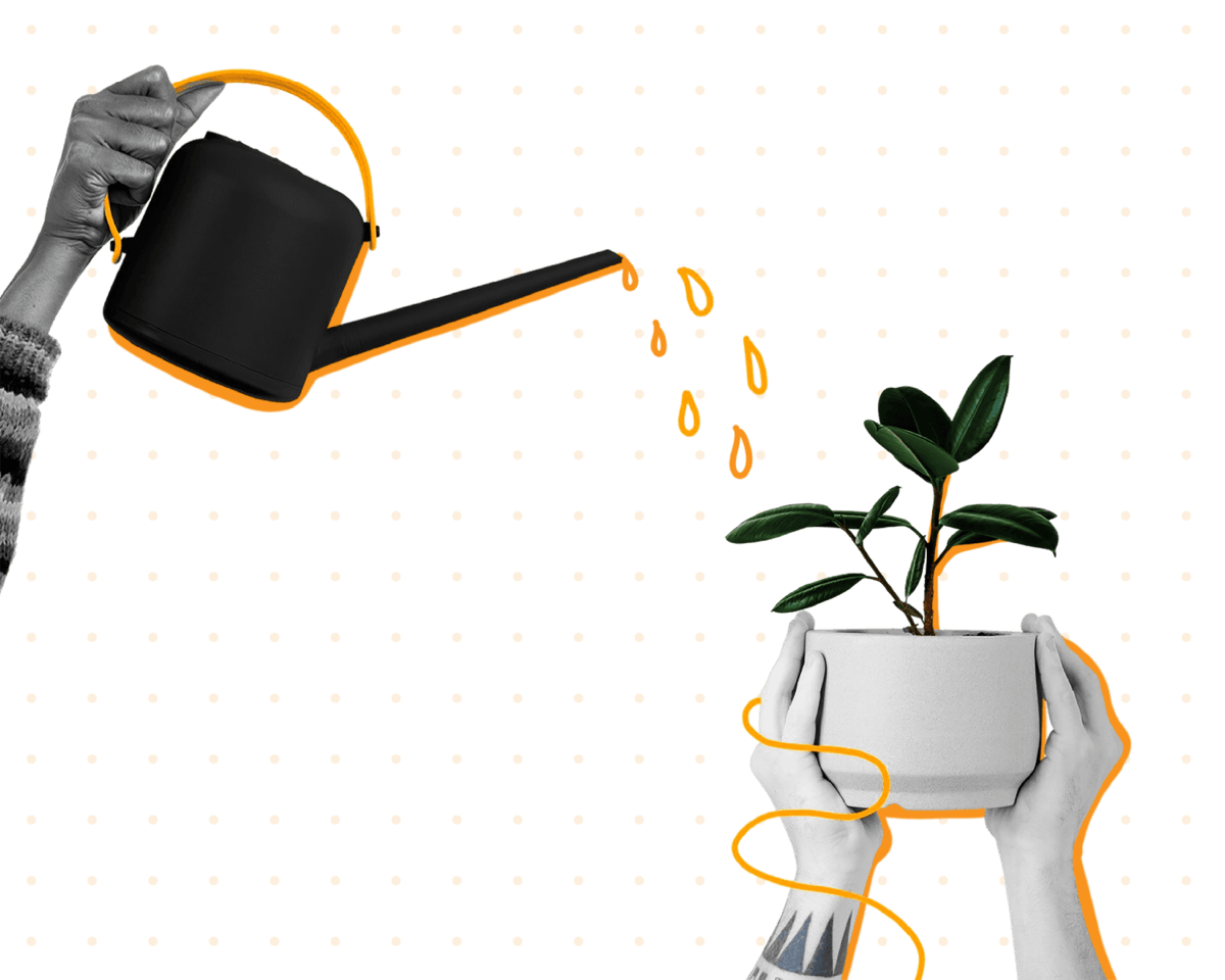 Hands watering a small plant, symbolising the founding of Global Rehabilitation Service
